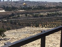 Shalom Israel Tours - All You Need to Know BEFORE You Go (with Photos)