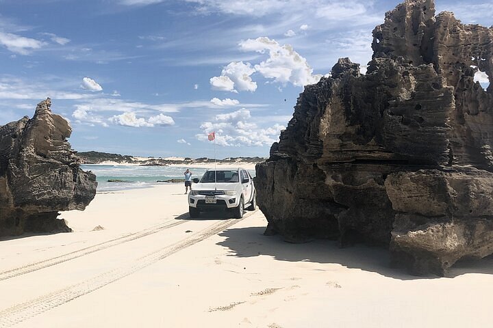 tag along tours south australia