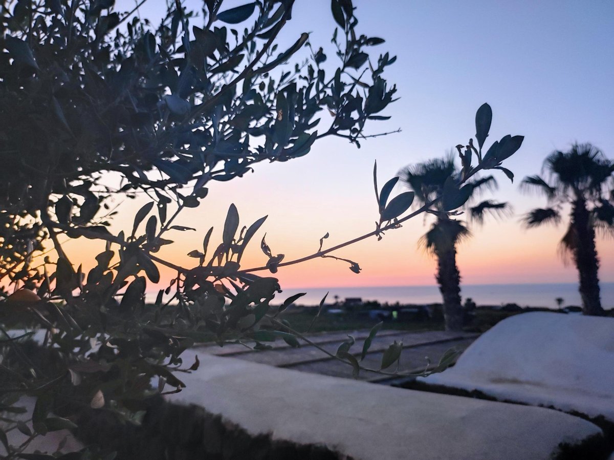 RESIDENZA DELLE PALME - Villa Reviews (Pantelleria, Italy)