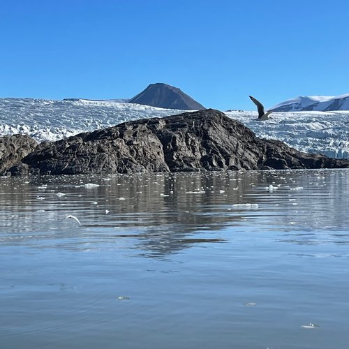 Svalbard Karla N review images