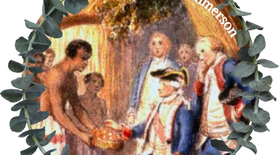 L'odyssée de P Commerson