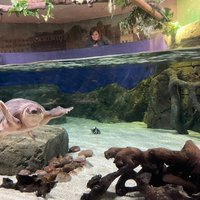 OCEANARIUM (Bournemouth) - All You Need to Know BEFORE You Go