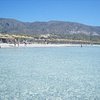 rinaccio