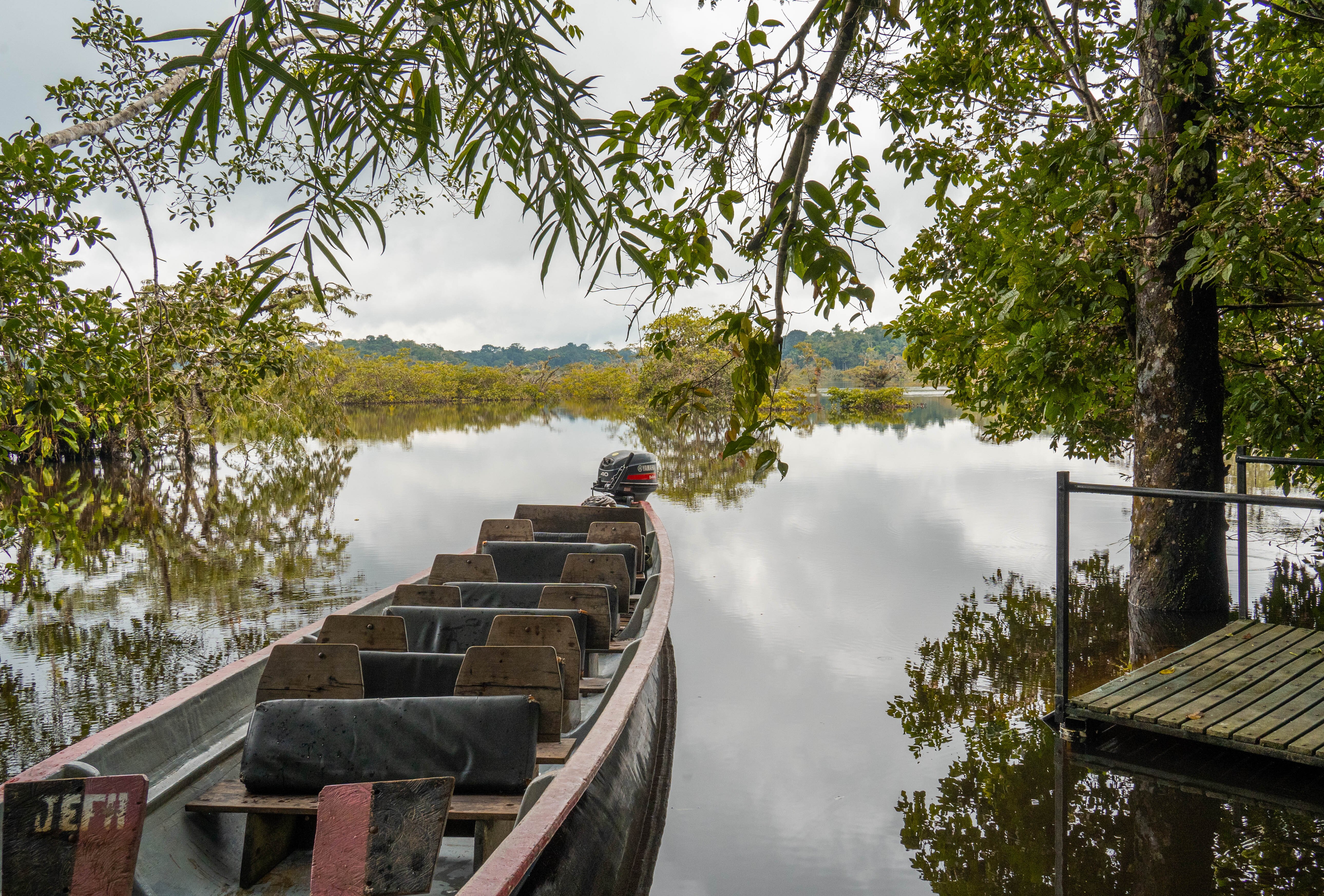 CUYABENO LODGE (Cuyabeno Wildlife Reserve, Ecuador): Opiniones