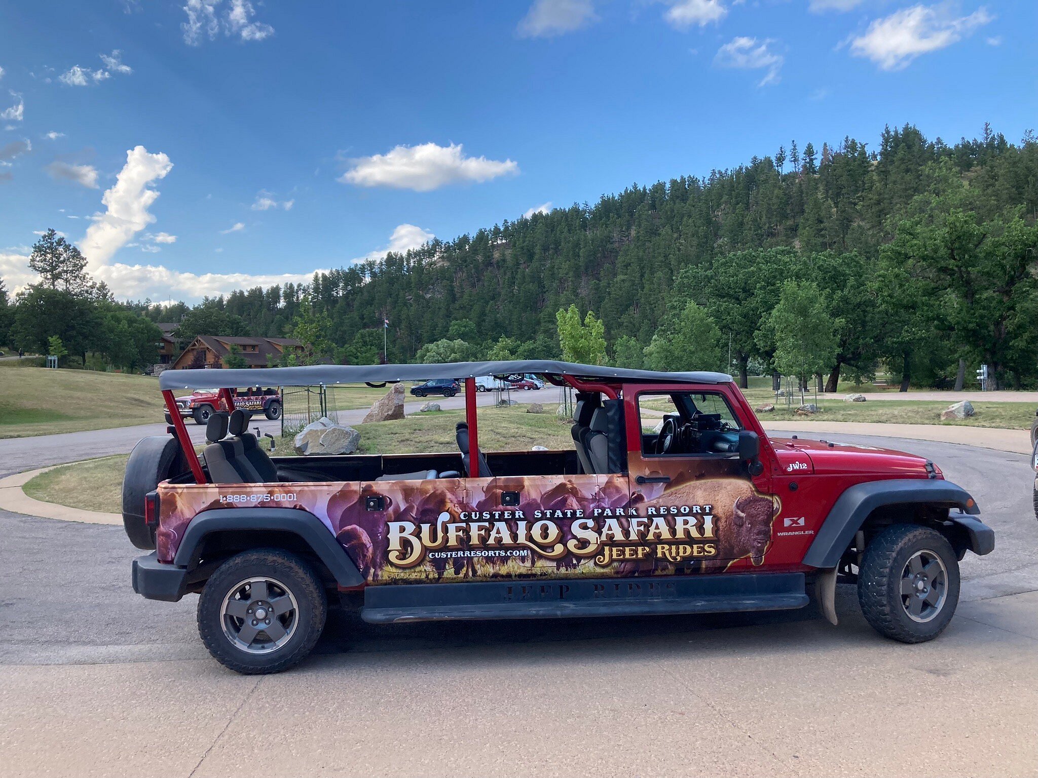 buffalo safari jeep tour reviews