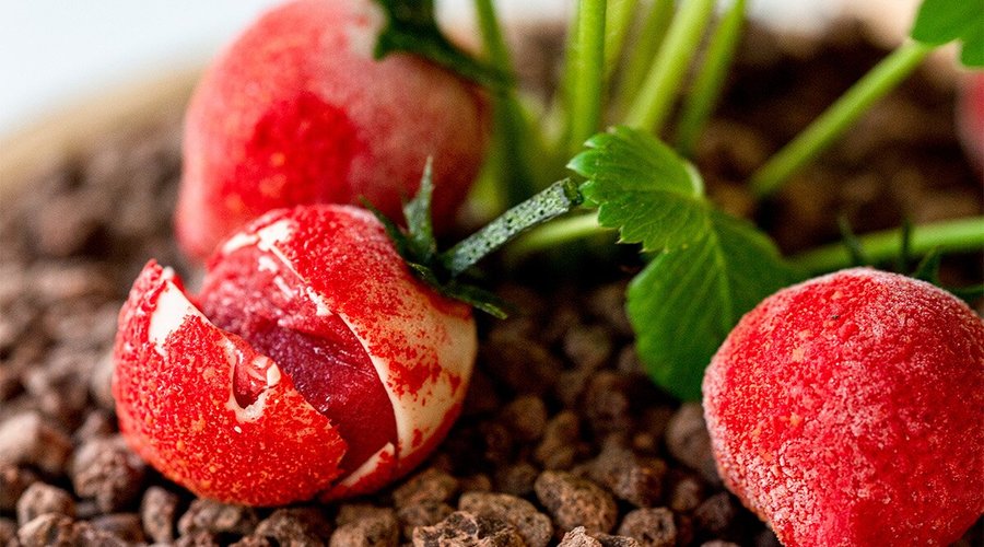 Fraise Ciflorette et basilic