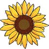 Sunflowergirl
