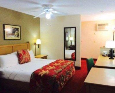 Hotel photo 18 of Caliente Tropics Resort.