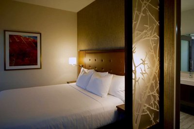 Hotel photo 15 of Hyatt Place Las Vegas at Silverton Village.