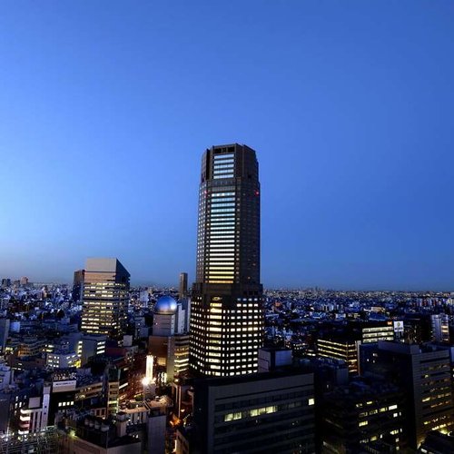 THE 10 BEST Downtown Tokyo Hotels 2025 (with Prices) - Tripadvisor