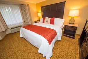 Room & Suite
