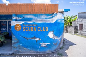 Fuvahmulah Scuba Club in Fuvahmulah, image may contain: Painting, Advertisement, City, Street