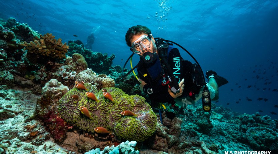 Reef diving in Fuvahmulah 