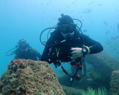 LES 10 MEILLEURES Plongée sous-marine et avec tuba à Dubaï