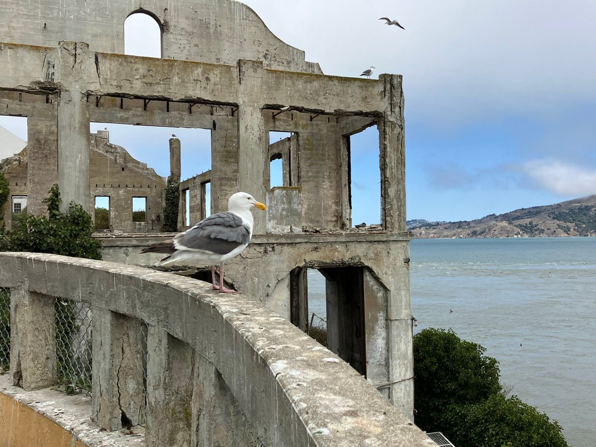 Alcatraz City Cruises Celebrates 60th Anniversary of the Most Infamous  Escape in History - City Experiences™