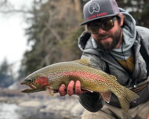 Glenwood Springs Fly Fishing Shop & Guided Trips - Hookers