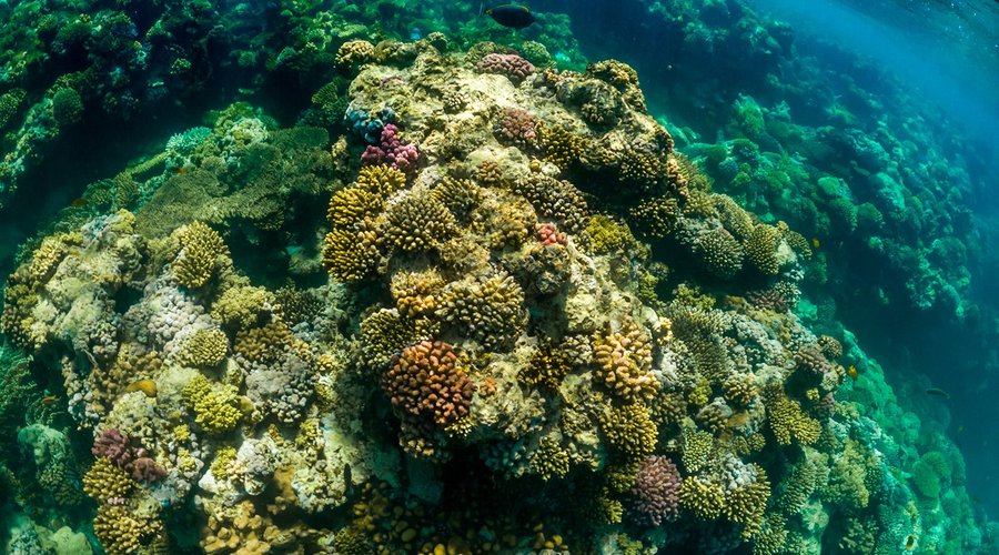 Underwater