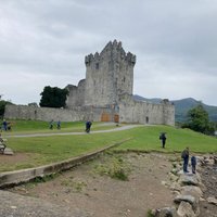 2023 Jaunting Car Tour to Ross Castle from Killarney