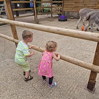 CALL OF THE WILD ZOO (South Woodham Ferrers) - What to Know BEFORE You Go