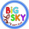 Big Sky Management
