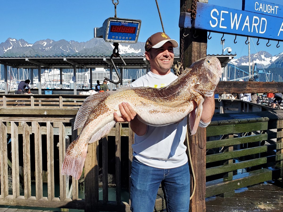 THE FISH HOUSE, FISHING CHARTERS (Seward) 2023 What to Know BEFORE You Go