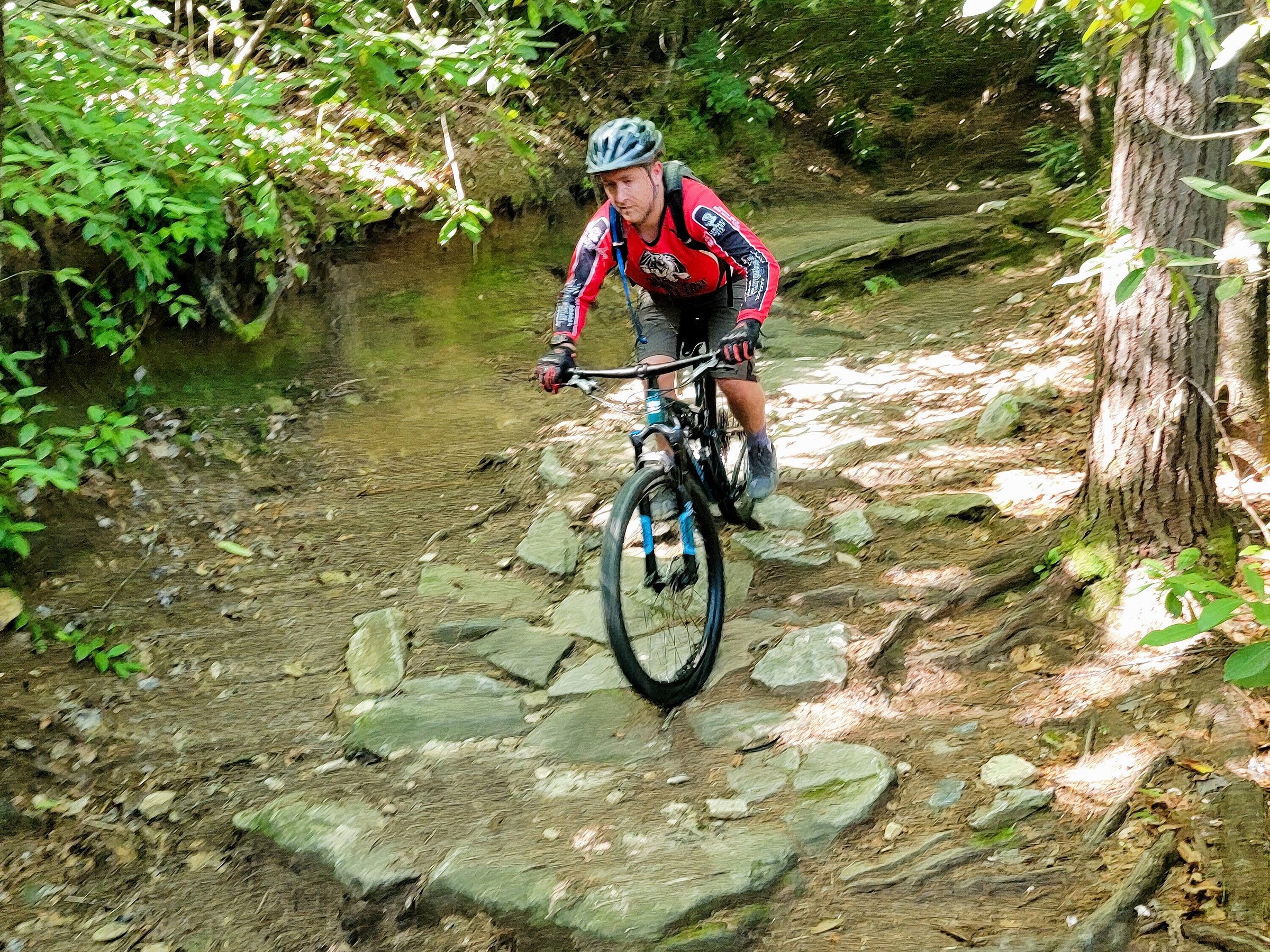 pisgah mountain biking