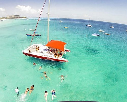 barbados cruise excursions reviews