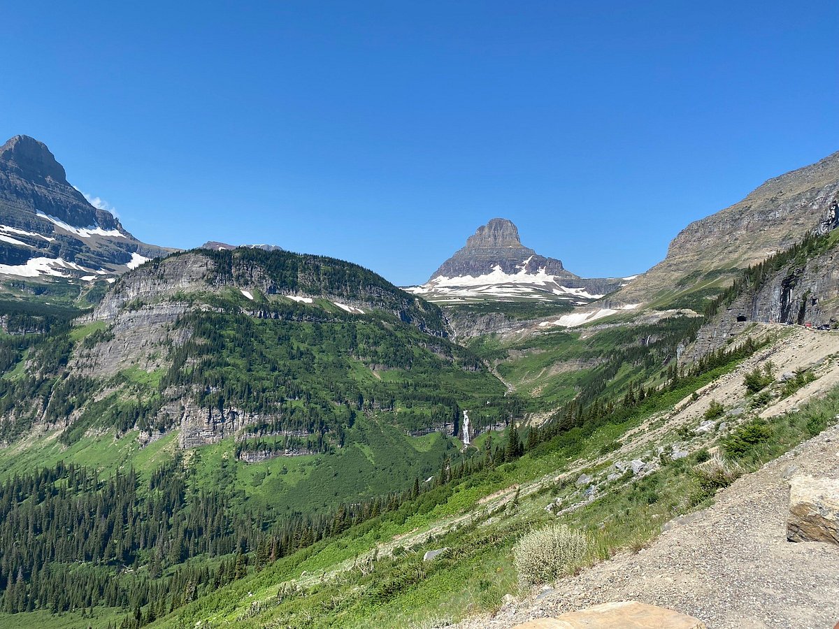 sun tours glacier national