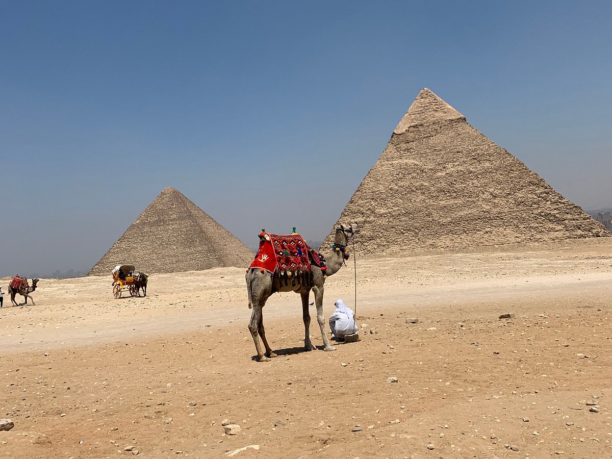 egypt guided tours tripadvisor