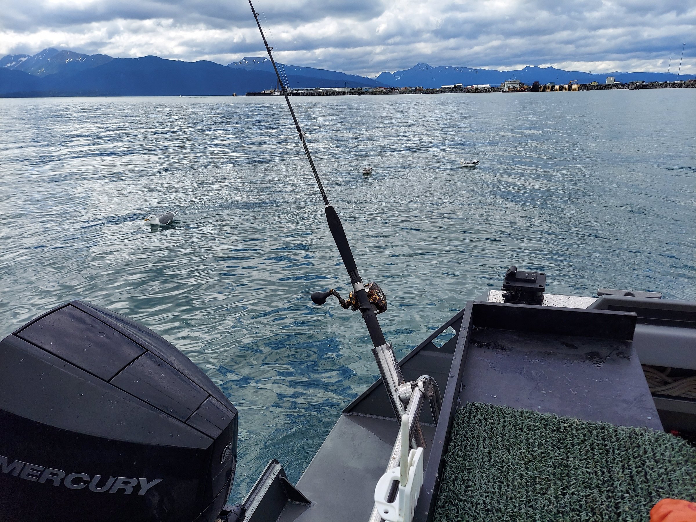 Alaska Fish On Charters (Kenai) All You Need to Know BEFORE You Go