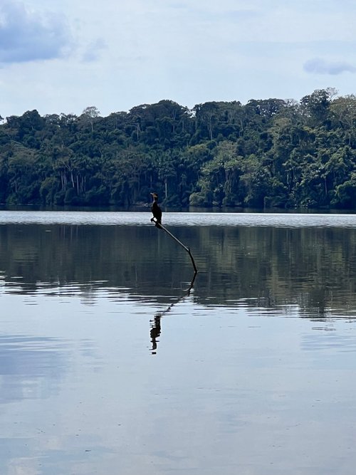 Tambopata National Reserve review images