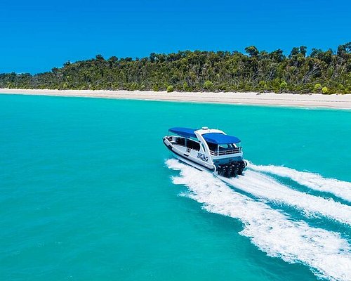 barrier reef tours from brisbane