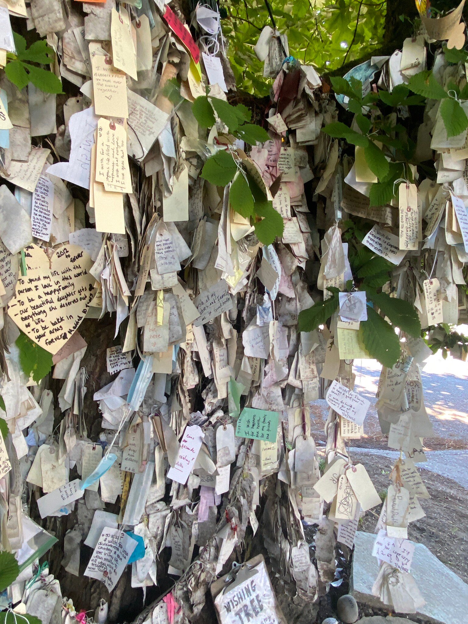 THE 15 BEST Things To Do In Portland 2024 With Photos Tripadvisor   The Wishing Tree 