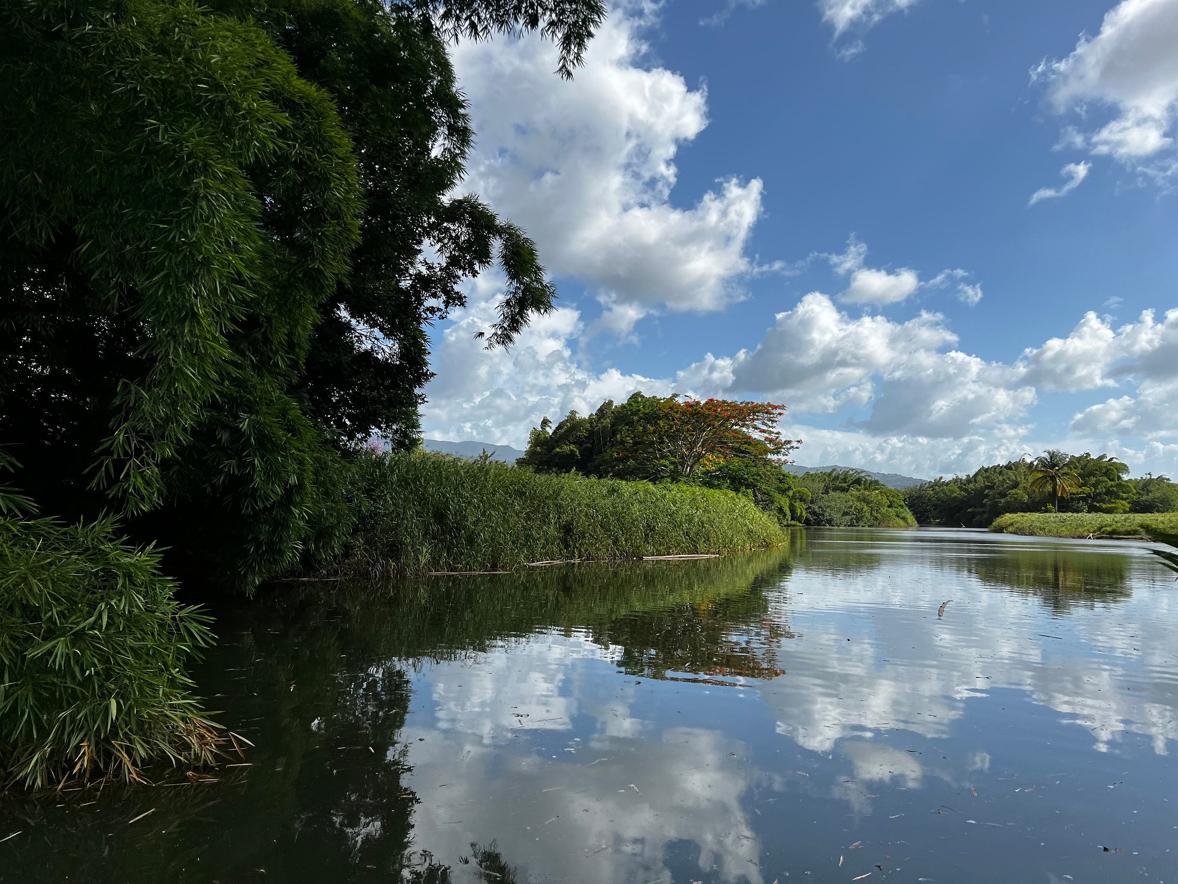 La Paseadora Del Río Espíritu Santo Rio Grande All You Need To Know Before You Go 2280