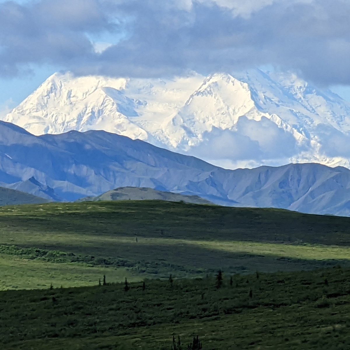 Denali Visitor Transportation System - All You Need to Know BEFORE You ...