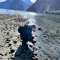 MILFORD SOUND (Te Anau) - All You Need to Know BEFORE You Go
