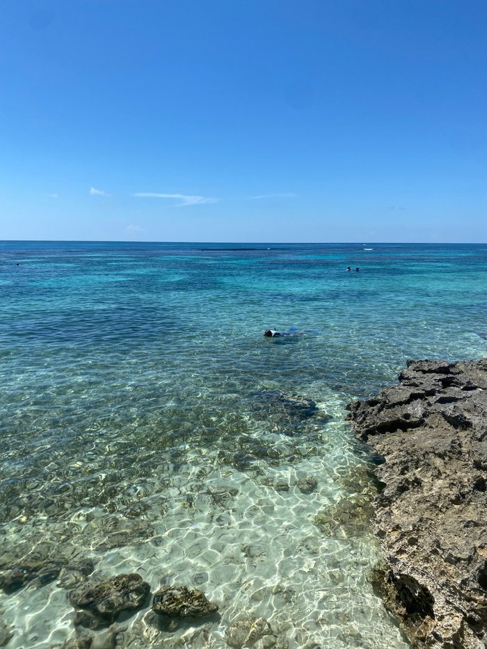 Imagen 24 de Club Med Cancun