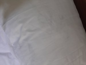 Viajero