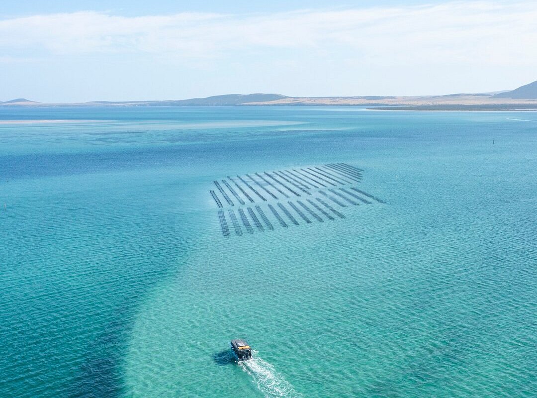 Experience Coffin Bay All You Need to Know BEFORE You Go