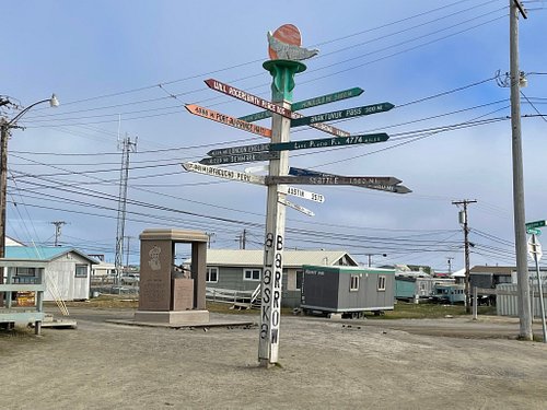 what to do in barrow alaska