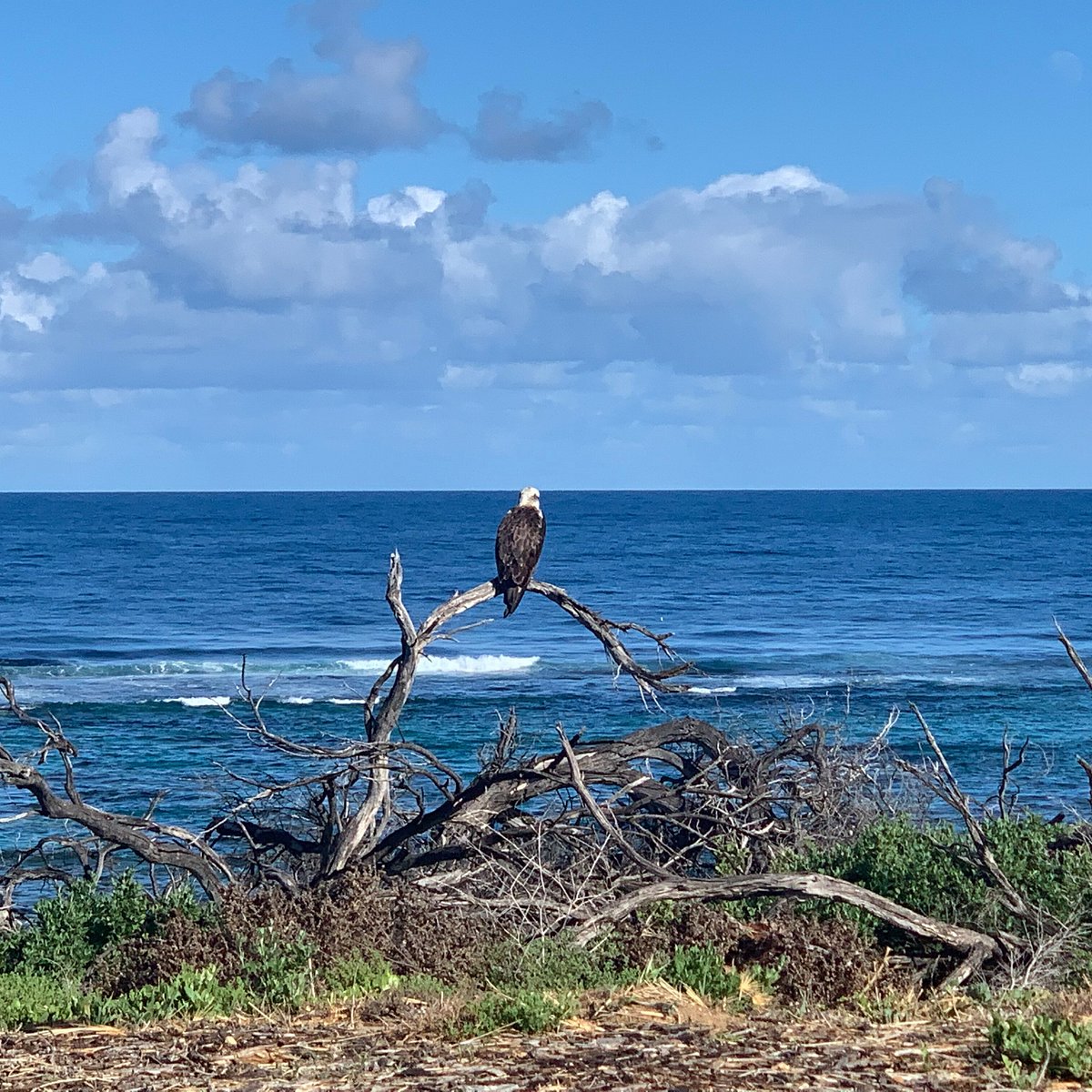 Horrocks Beach: лучшие советы перед посещением - Tripadvisor