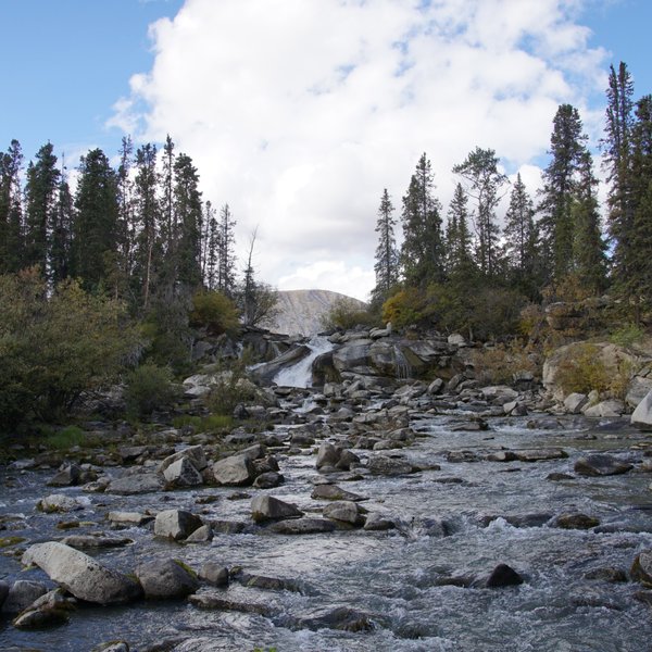 Kluane National Park and Reserve (Haines Junction) - All You Need to ...