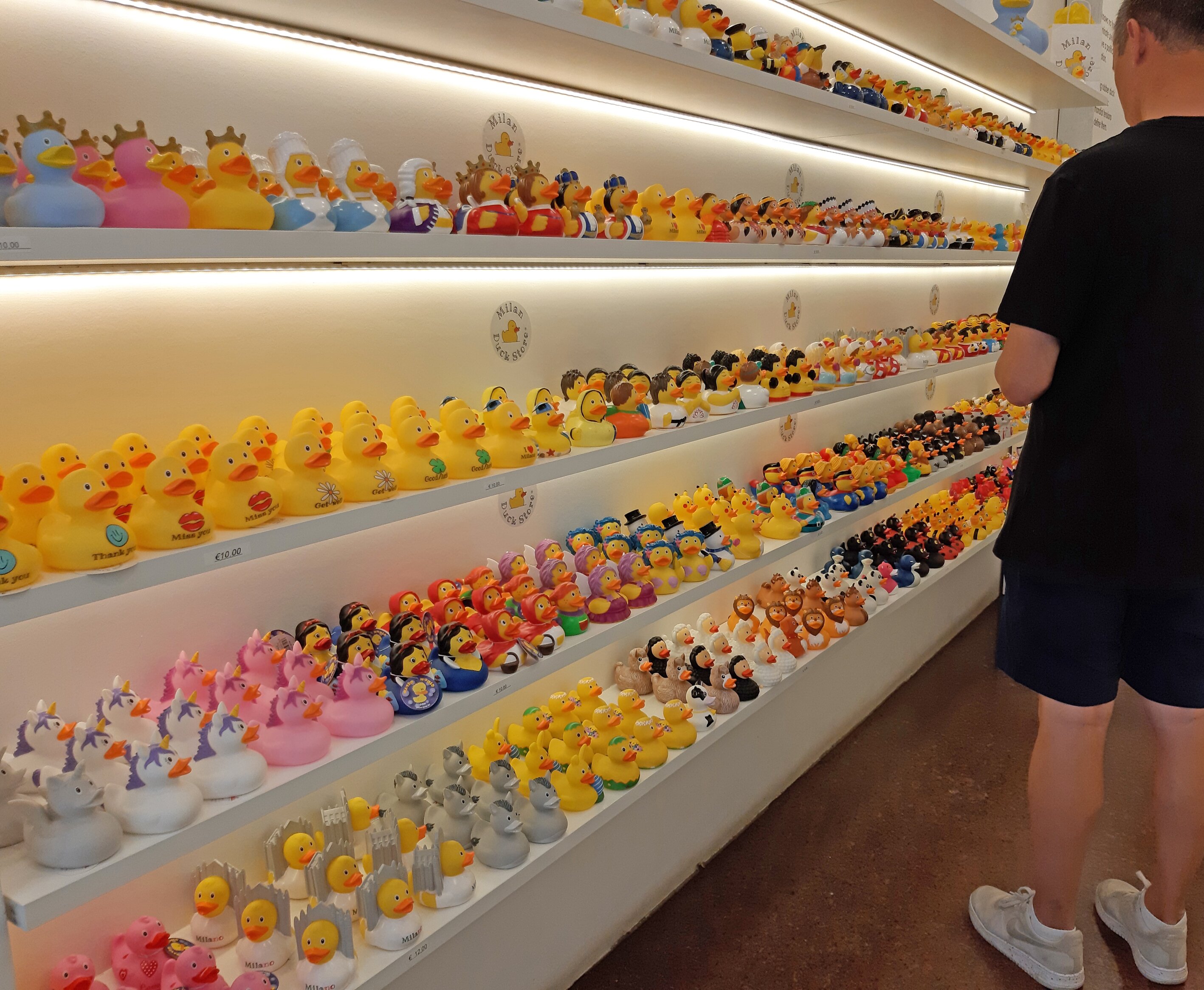 Milan Duck Store All You Need to Know BEFORE You Go 2024