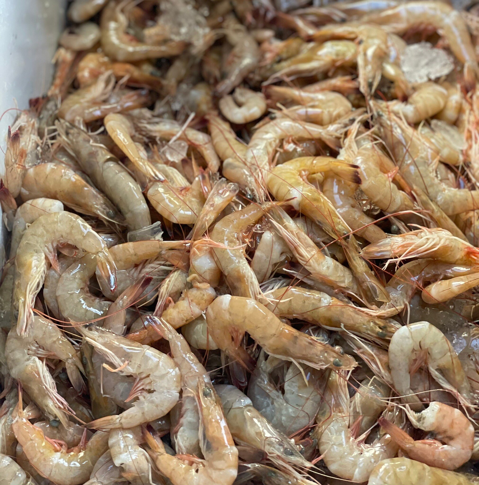 SEAHARVEST FRESH SHRIMP 2025 All You Need To Know BEFORE You Go With Caption