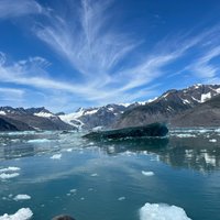 2023 Columbia Glacier Cruise from Valdez