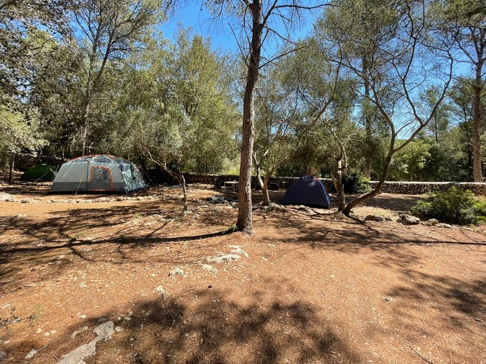 Imagen 11 de Camping S'Atalaia