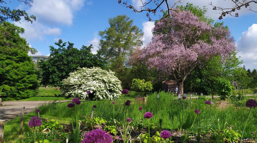 Le Jardin botanique Jean-Marie Pelt au printemps.