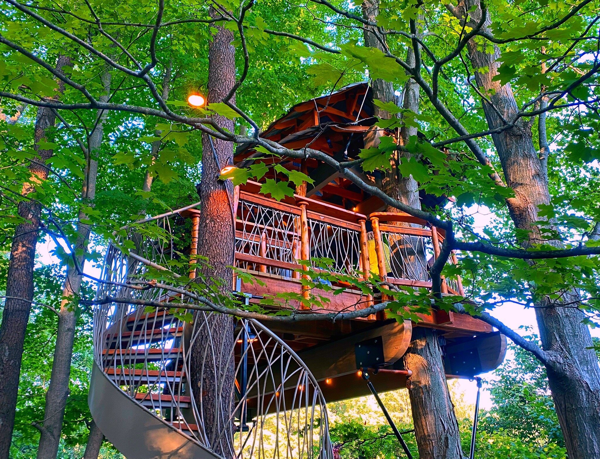 Blueberry Treehouse Farm West Falls All You Need To Know BEFORE You Go   July 2022 