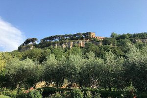 PODERE SETTE PIAGGE - Updated 2024 Prices & B&B Reviews (Orvieto, Italy)