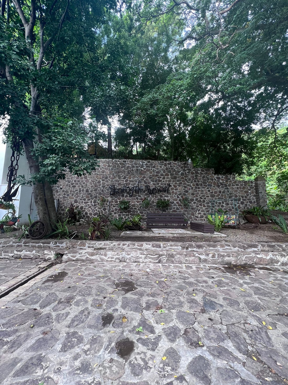EKOLOJIK RESORT Pensione (CapHaitien) Prezzi e Recensioni 2024